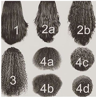 African American Natural Hair Type Chart